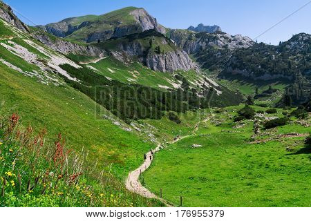 Hiking in the mountains. Austria travel Achensee Area Tirol