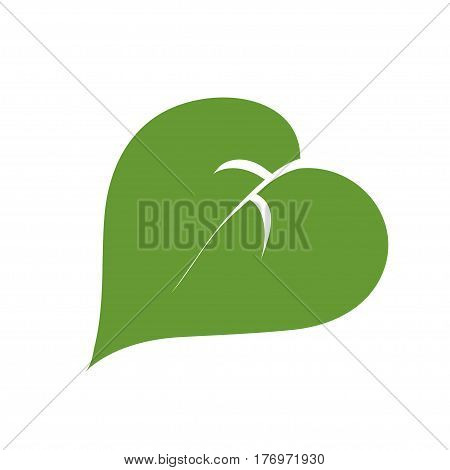 a simple green leaf on white background