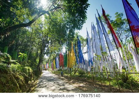 Beautiful way to Samdruptse statue sun light and shadow of tree on the road and flags waving on the other side of road . Samdruptse is a huge buddhist memorial statue in Sikkim India.