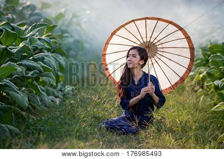 Lao woman holding umbrella on the tobacco field