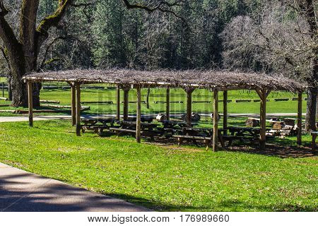 Picnic Tables Under Branch Covered Roof In American Indian Park