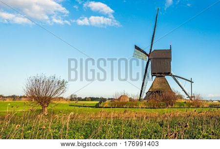 Dutch polder landscape with a historic wooden hollow post mill as seen from the side. In the foreground are a willow tree and overblown sunflowers.