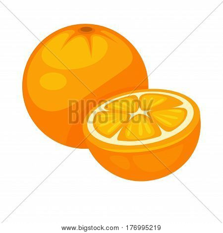Orange tropical fruit whole and half isolated on white background. Nutrition dieting dessert, rich on vitamins C. Tasty ripe citrus sweet fruits realistic vector illustration in flat style design