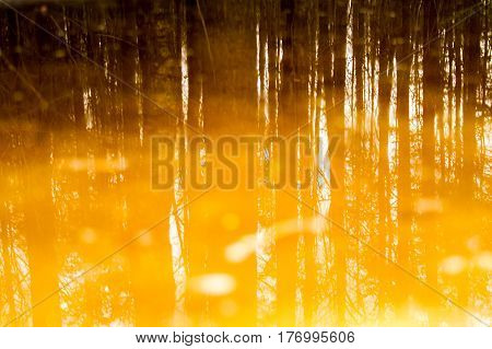 St. Petersburg-19.03.2017: Sosnovka Park in the early spring with thawed patches and the remains of snow