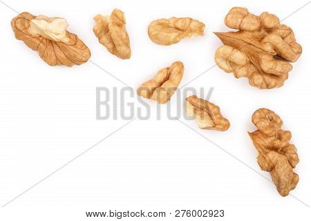 Peelled Walnuts Isolated On White Background With Copy Space For Your Text. Top View. Flat Lay