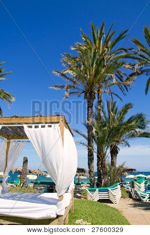 Spiaggia bossa Ibiza Platja En con palme alberi da un punto di riferimento del partito