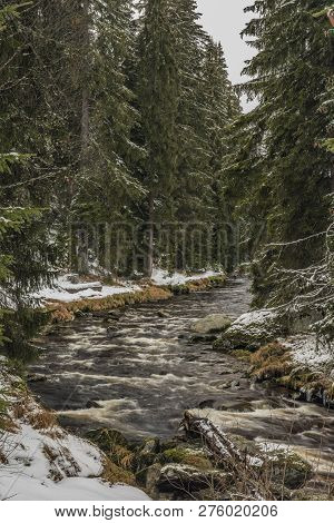 Roklansky Creek Near Modrava Village In National Park Sumava In Winter Day