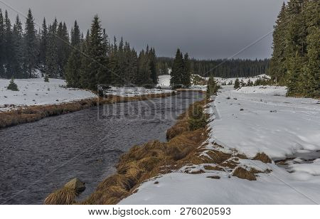 Roklansky Creek Near Modrava Village In National Park Sumava In Winter Day