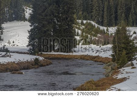 Roklansky Creek Near Modrava Village In National Park Sumava In Winter Day