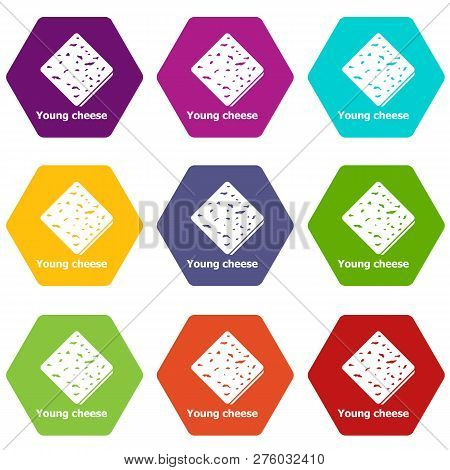Young Cheese Icons 9 Set Coloful Isolated On White For Web