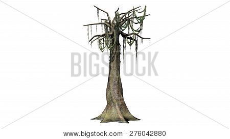 Kapok Tree In Winter - Isolated On White Background - 3d Illustration