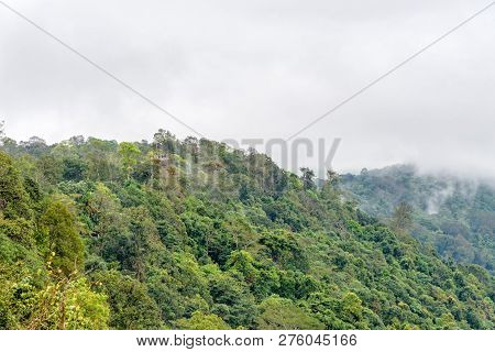 Beautiful Nature Landscape Of Green Forests And Peaks Of Pha Chu Thong Look From A Distance At Lan H