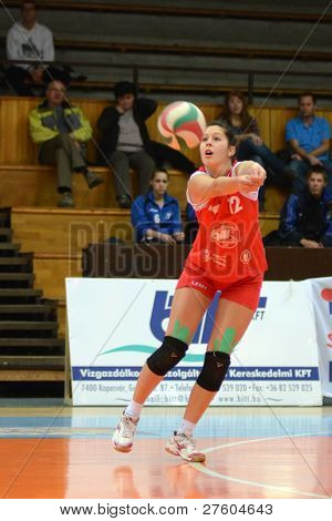 KAPOSVAR, 헝가리-11 월 25 일: 페트라 Kulcsar 헝가리 선수권 배구 조지아에서 행동