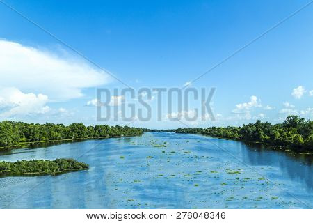 View To The River Missisippi With Its Wide River Bed And Untouched Nature In Louisiana
