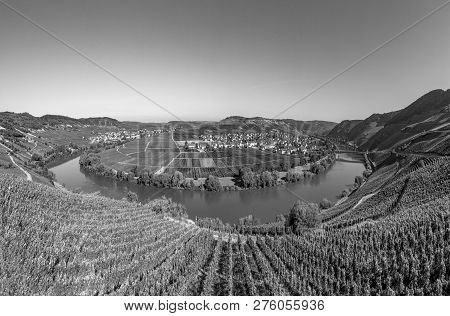 Famous Moselle Sinuosity At  Leiwen Called Zummet Hights In Morning Light