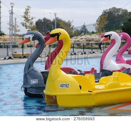 Boats In The Form Of Colorful Plastic Swans In A Reservoir Of A Park In The City Of Holon In Israel
