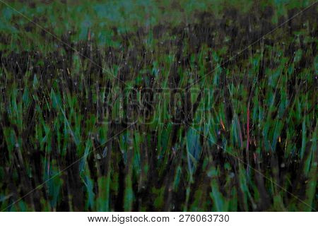 Abstrat Wallpaper. Illustrated Image. Pointed Leaves. Dew.