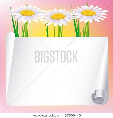 smukke vektor illustration med blomster