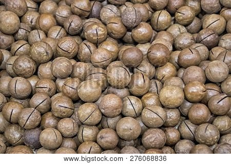 Lots Of Inshell Macadamia Nuts On The Market Counter Texture