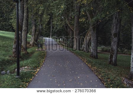 Moody, Dark Photo Of The Road In A Park, Between Woods - Desaturated, Vintage Look, Autumn Day