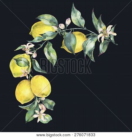 Watercolor Vintage Wreath, Branch Of Yellow Fruit Lemo