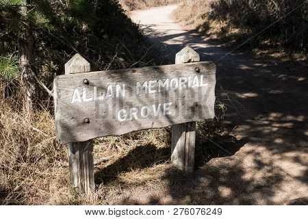 Sign For The Allan Memorial Grove Of Cypress Trees At Point Lobos State Reserve In Monterey Californ