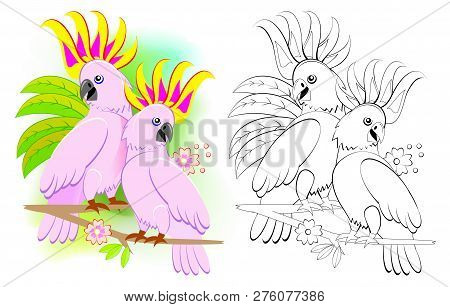 Fantasy Illustration Of Couple Of Romantic Cockatoo Parrots. Colorful And Black And White Page For C