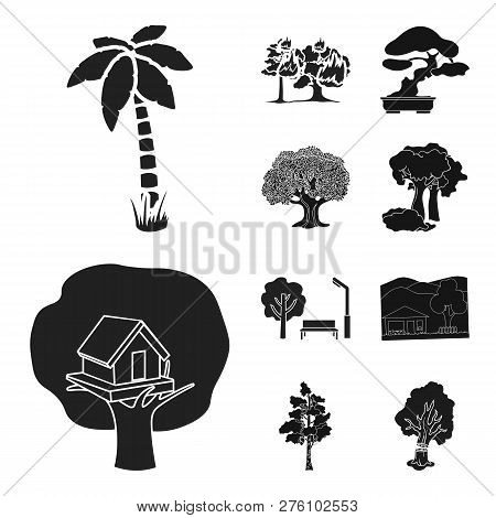 Vector Illustration Of Tree  And Forest Logo. Set Of Tree  And Green Stock Vector Illustration.