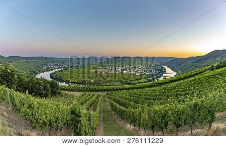 Famous Moselle Sinuosity At  Leiwen Called Zummet Hights In Morning Light