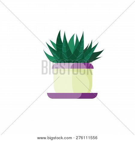 Green Aloe Illustration. Pot, Green, Plant. Home Decoration Concept. Vector Illustration Can Be Used