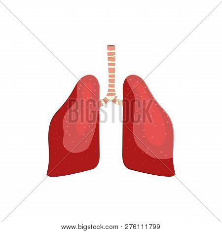 Human Lungs Illustration. Pink, Breathing, Air, Organ. Medicine Concept. Vector Illustration Can Be 