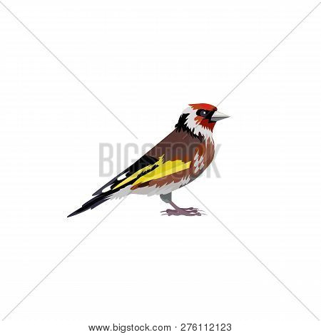 Thrush Bird Illustration. Bird, Red, Wings,  Feather. Nature Life Concept. Vector Illustration Can B