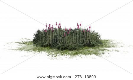 Red Yucca Cluster On A Green Area - Isolated On White Background - 3d Illustration