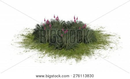 Red Yucca Cluster On A Green Area - Isolated On White Background - 3d Illustration