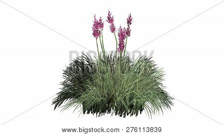 Red Yucca With Shadow - Isolated On White Background - 3d Illustration