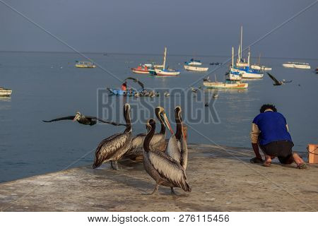 Fisher Boats In The Harbor Of Mancora, Peru