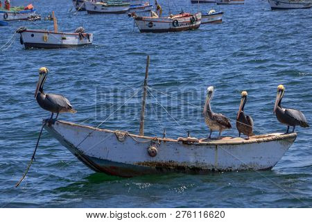 Fisher Boats In The Harbor Of Mancora, Peru