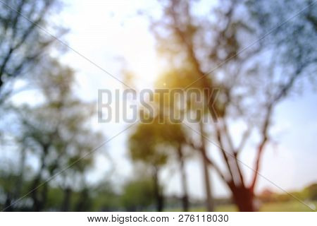 Blurred Park, Natural Background And Sunset Photo