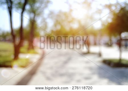 Blurred Park, Natural Background And Sunset Photo