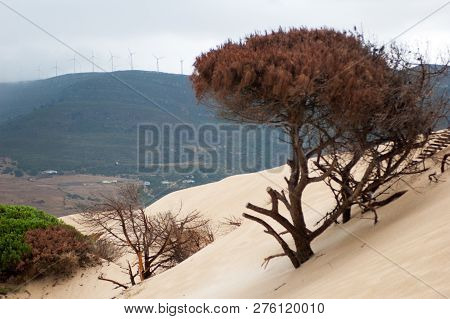 The Contrast Between The Power Of Nature And Modern Technology