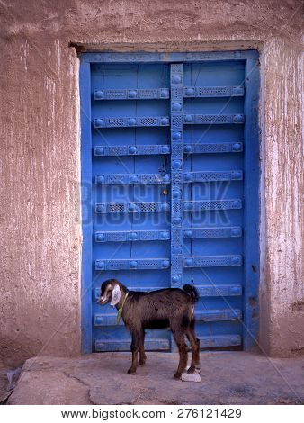 Traditional Old Wooden Door In Sanaa Yemen With A Young Goat Standing In Front Of It