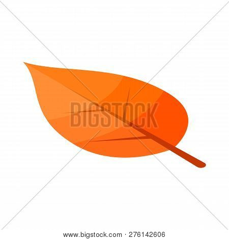 Poplar Yellow Tree Leaf Icon. Isometric Of Poplar Yellow Tree Leaf Icon For Web Design Isolated On W