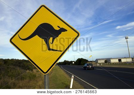 Traffic Sign For Kangaroo Crossing Considered To Be Very Common In The Australian Lands.