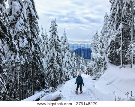 A Young Woman Snowshoeing Along The Bowen Island Lookout Trail On Cypress Mountain, British Columbia