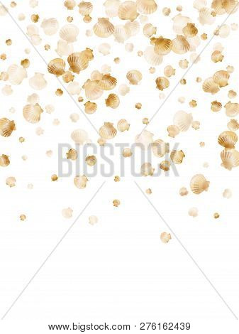 Gold Seashells Vector, Golden Pearl Bivalved Mollusks. Exotic Scallop, Bivalve Pearl Shell, Marine M