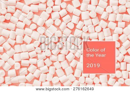 Living Coral. Color Of The Year 2019. Marshmallows On Coral Background And Trendy Color Sample. Flat