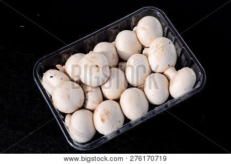 Photo Picture Of  Fresh White Mushroom Food Texture Background