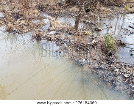 Water Flowing Into Sticks And Branches With Mud From Natural Dam