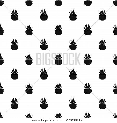 Round Pot Aloe Pattern Seamless Repeat Geometric For Any Web Design