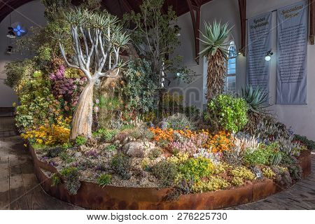 Clanwilliam, South Africa, August 28, 2018: The Yearly Wild Flower Show Inside The Historic First Du